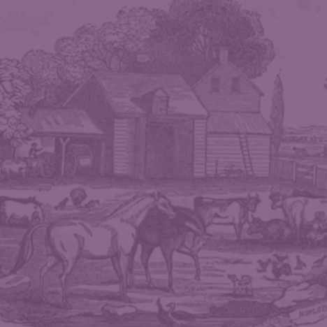 Napoleon Bonaparte’s Family in America