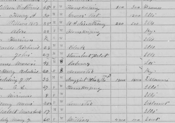 Unique 1870 US census record