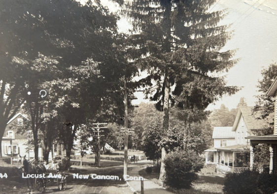 Black and white postcard scene of houses on Locust Ave New Canaan CT